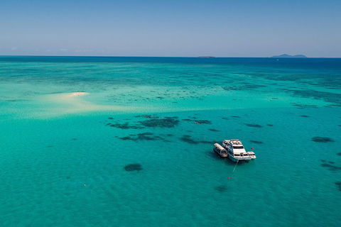 Ocean Freedom Great Barrier Reef Personal Luxury Snorkel & Dive Cruise, Cairns - Accommodation Cairns 2