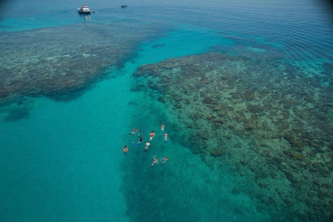 Ocean Freedom Great Barrier Reef Personal Luxury Snorkel & Dive Cruise, Cairns - Accommodation Cairns 3