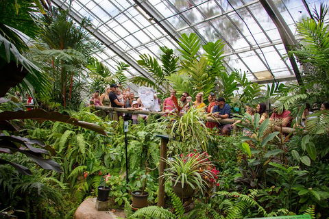 Australian Butterfly Sanctuary - Accommodation Cairns 0