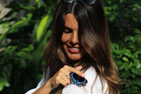 Australian Butterfly Sanctuary - Accommodation Cairns 2