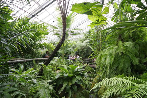 Australian Butterfly Sanctuary - Accommodation Cairns 3