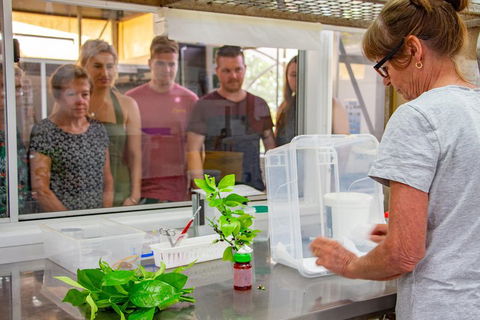 Australian Butterfly Sanctuary - Accommodation Cairns 5