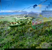 Best of Kuranda Including Skyrail Kuranda Scenic Railway and Rainforestation - Accommodation Cairns
