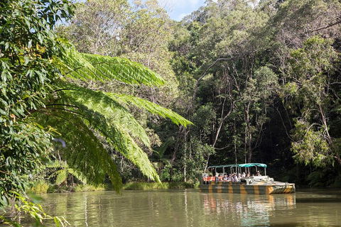 Best Of Kuranda Including Skyrail, Kuranda Scenic Railway And Rainforestation - Accommodation Cairns 5