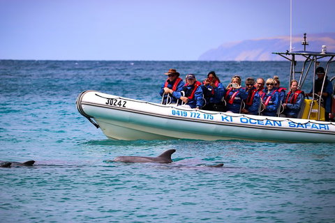 Kangaroo Island 75-Minute Ocean Safari - Accommodation Cairns 4