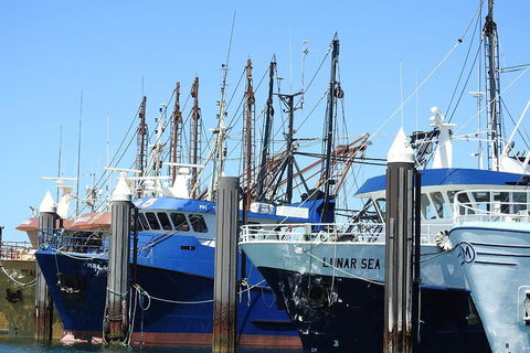 One Day Port Lincoln Tour - Tasting Eyre - Accommodation Cairns 0