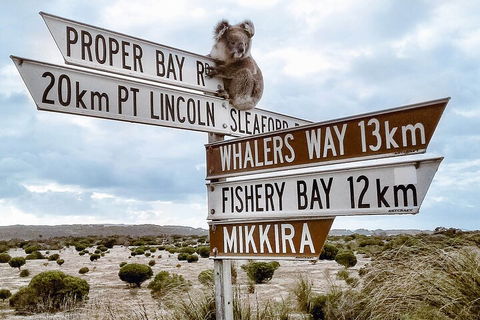 One Day Port Lincoln Tour - Tasting Eyre - Accommodation Cairns 2