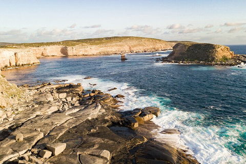 One Day Port Lincoln Tour - Tasting Eyre - Accommodation Cairns 3