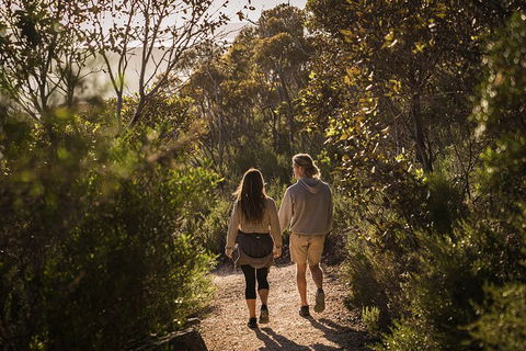 One Day Port Lincoln Tour - Tasting Eyre - Accommodation Cairns 5