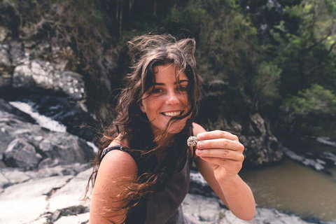 Springbrook AndTamborine Rainforest Tour Incl Natural Bridge And Glow Worm Cave - Accommodation Cairns 1