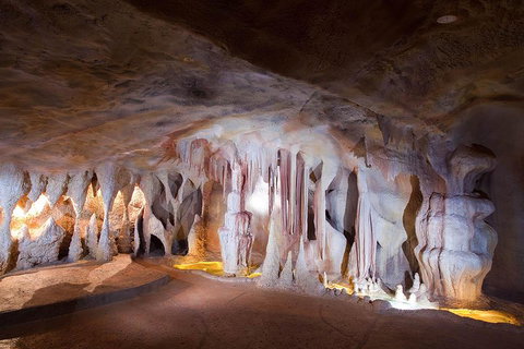 Springbrook AndTamborine Rainforest Tour Incl Natural Bridge And Glow Worm Cave - Accommodation Cairns 4