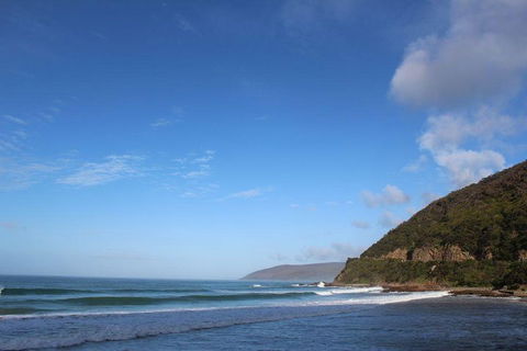 Private Great Ocean Road Day Tour With Early Departure & Early Return (11 Hours) - Accommodation Cairns 3