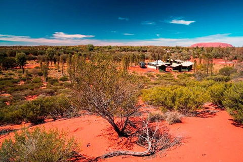 Overnight Uluru (Ayers Rock) Small-Group Camping Tour - Accommodation Cairns 2