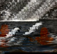 3 Day 4WD Dragonfly Dreaming Top End Safari - Accommodation Cairns