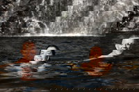 3 Day 4WD Dragonfly Dreaming Top End Safari, Darwin