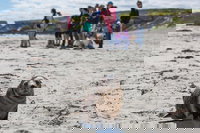 Book Viator Accommodation Vacations Accommodation Cairns Accommodation Cairns