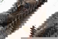 2-Day Kangaroo Island 4WD Small-Group Tour from Adelaide