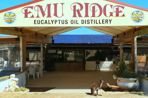 2 Day Ultimate Kangaroo Island With Return Ferry - Accommodation Cairns 3