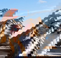 Full-Day Kangaroo Island Experience Departing from Kangaroo Island - Accommodation Cairns