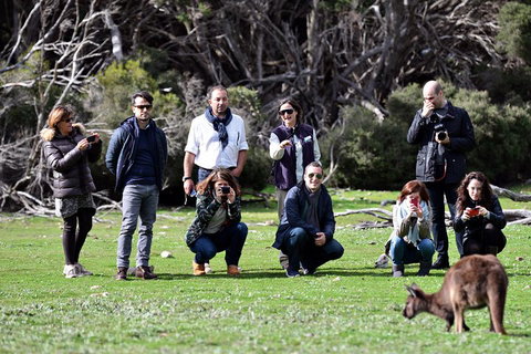 Small-Group Kangaroo Island 4WD Tour From Adelaide - Accommodation Cairns 2