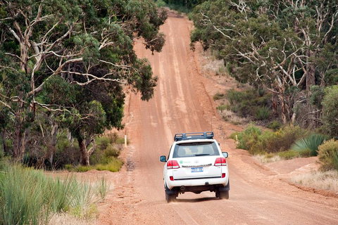 Small-Group Kangaroo Island 4WD Tour From Adelaide - Accommodation Cairns 3