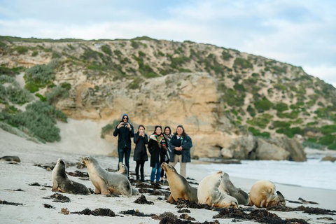 Small-Group Kangaroo Island 4WD Tour From Adelaide - Accommodation Cairns 4
