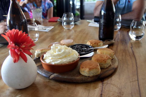 Small-Group Afternoon Cairns City Tour With Harbour Dinner Cruise - Accommodation Cairns 3