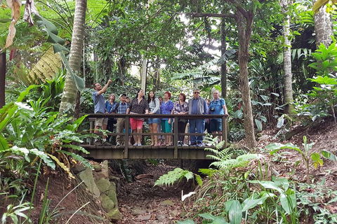 Cairns Shore Excursion: Cairns City Sights & Surrounds Tour - Accommodation Cairns 1
