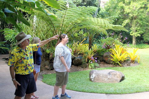 Cairns Shore Excursion: Cairns City Sights & Surrounds Tour - Accommodation Cairns 4