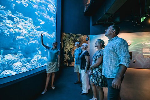 Cairns Aquarium By Twilight With 3-Course Dinner - Accommodation Cairns 1