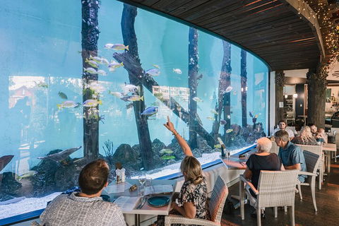 Cairns Aquarium By Twilight With 3-Course Dinner - Accommodation Cairns 4