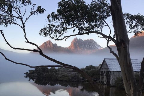 Cradle Mountain Park Explorer Guided Tour - Accommodation Cairns 5