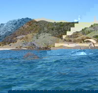 Kayaking with Dolphins in Byron Bay Guided Tour - Accommodation Cairns