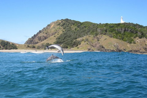 Kayaking With Dolphins In Byron Bay Guided Tour - Accommodation Cairns 0