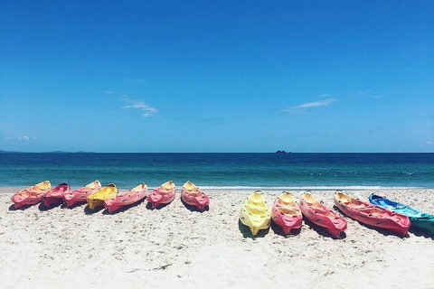 Kayaking With Dolphins In Byron Bay Guided Tour - Accommodation Cairns 1