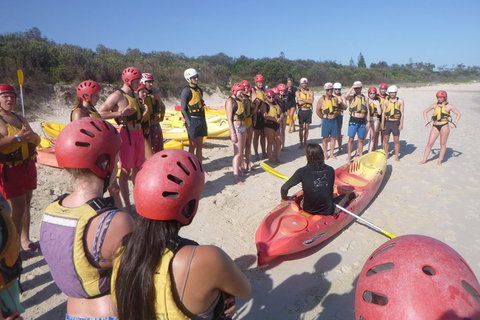Kayaking With Dolphins In Byron Bay Guided Tour - Accommodation Cairns 2