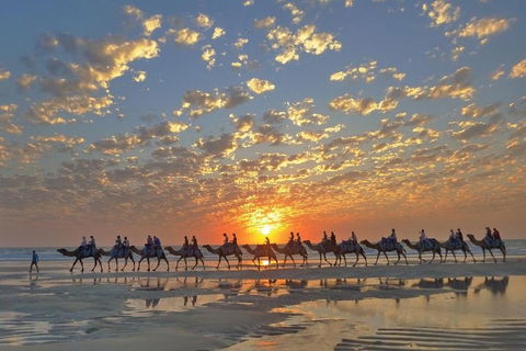 Broome City Sightseeing Tour With Optional Camel Ride - Accommodation Cairns 1