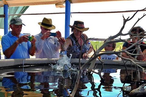 Cape Leveque 4WD Tour From Broome With Optional Return Flight - Accommodation Cairns 0