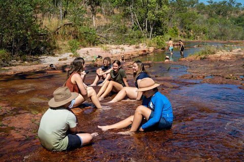 Litchfield National Park Waterfalls And Wildlife Tour From Darwin - Accommodation Cairns 1