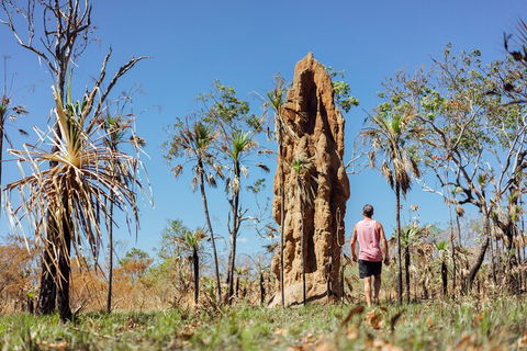 Litchfield National Park Waterfalls And Wildlife Tour From Darwin - Accommodation Cairns 4