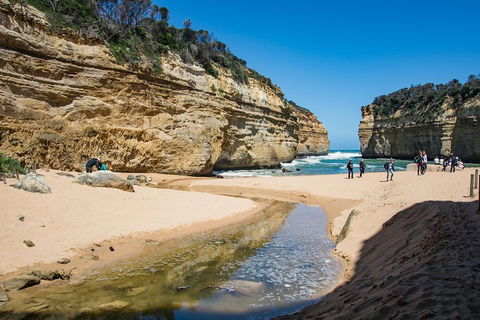 Great Ocean Road And 12 Apostles Day Trip From Melbourne - Accommodation Cairns 2