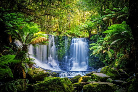 Day Tour In Mt. Field, Mt. Wellington, Bonorong Wildlife Sanctuary And Richmond - Accommodation Cairns 0