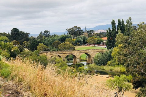 Day Tour In Mt. Field, Mt. Wellington, Bonorong Wildlife Sanctuary And Richmond - Accommodation Cairns 3