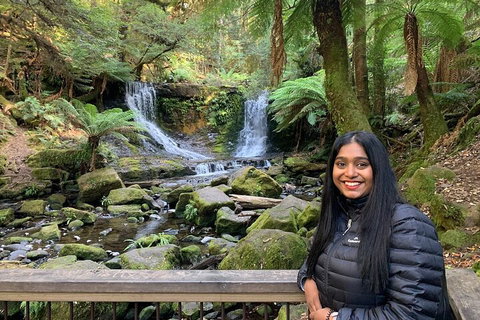 Day Tour In Mt. Field, Mt. Wellington, Bonorong Wildlife Sanctuary And Richmond - Accommodation Cairns 5