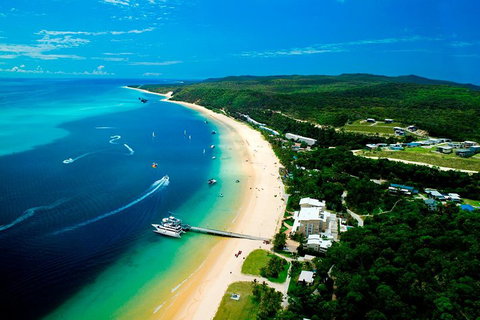 Tangalooma Island Resort Whale Watching Day Cruise - Accommodation Cairns 2