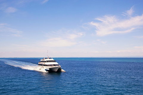 Tangalooma Island Resort Whale Watching Day Cruise - Accommodation Cairns 5