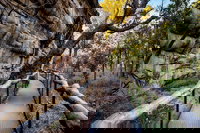 Kakadu National Park Cultural Experience, Darwin