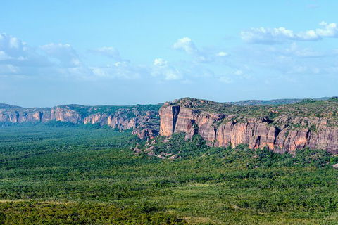 Jabiru 60 Minute Scenic Flight - Accommodation Cairns 4