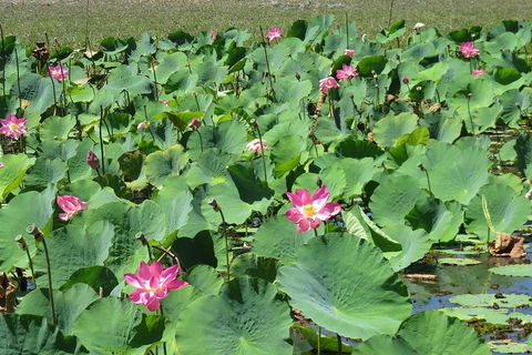 Darwin To Kakadu Day Trip By Air Including Yellow Water Cruise - Accommodation Cairns 2