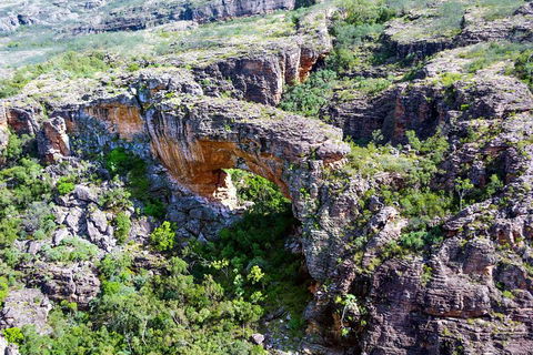 Darwin To Kakadu Day Trip By Air Including Yellow Water Cruise - Accommodation Cairns 4